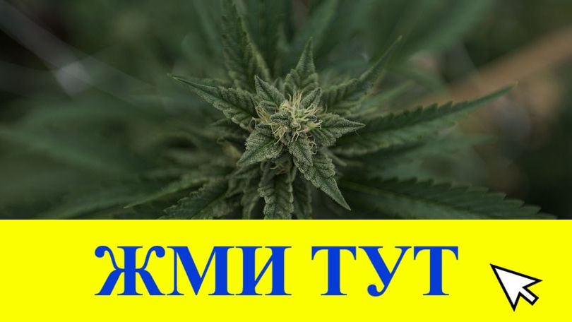 Купить наркотики в Туапсе